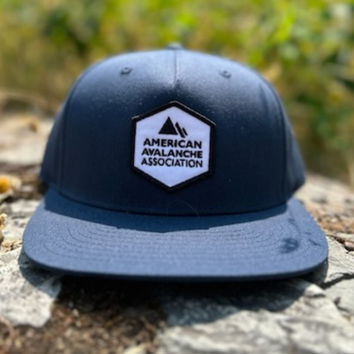 Store — American Avalanche Association